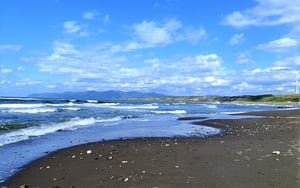 北海道　海　ビーチコーミング　子連れ　化石　貝殻