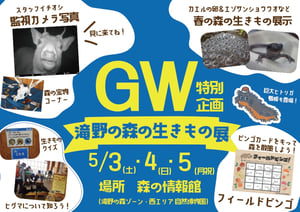 603bd0c88542121e64913903c2fb70e1