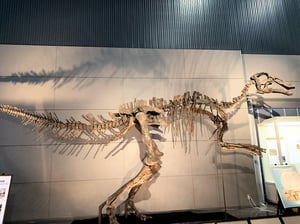 旭川市科学館恐竜ワールドの写真