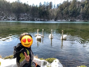 次郎湖の白鳥