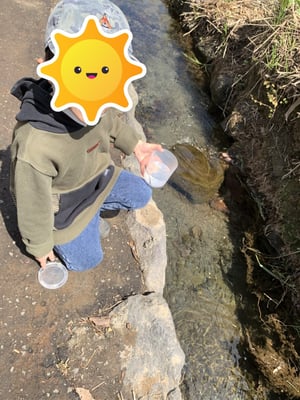 札幌市豊平川サケ科学館の稚魚放流