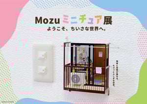 ID00000314-20250318_192132-img-1