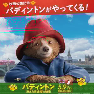 ID00000322-20250408_182906-img