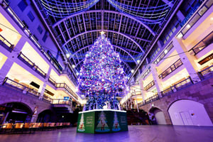 ID00000433-20251009_104518-img2