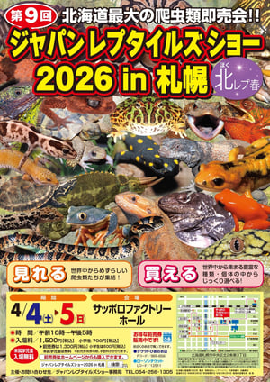 ID00000530-20260323_131200-img