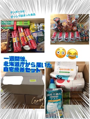 北海道庁から届いた自宅療養セットの写真