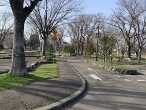 札幌市西区の農試公園の写真