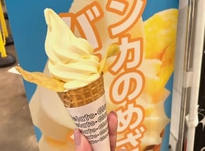 新千歳空港のソフトクリームの写真