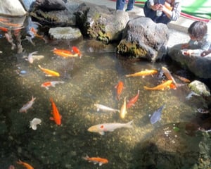 dbb02766-5c46-4ce0-8d3f-8542c1523d21