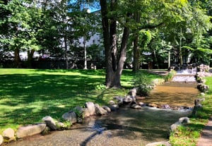 hokudai-4水遊びの穴場スポット北海道大学の写真