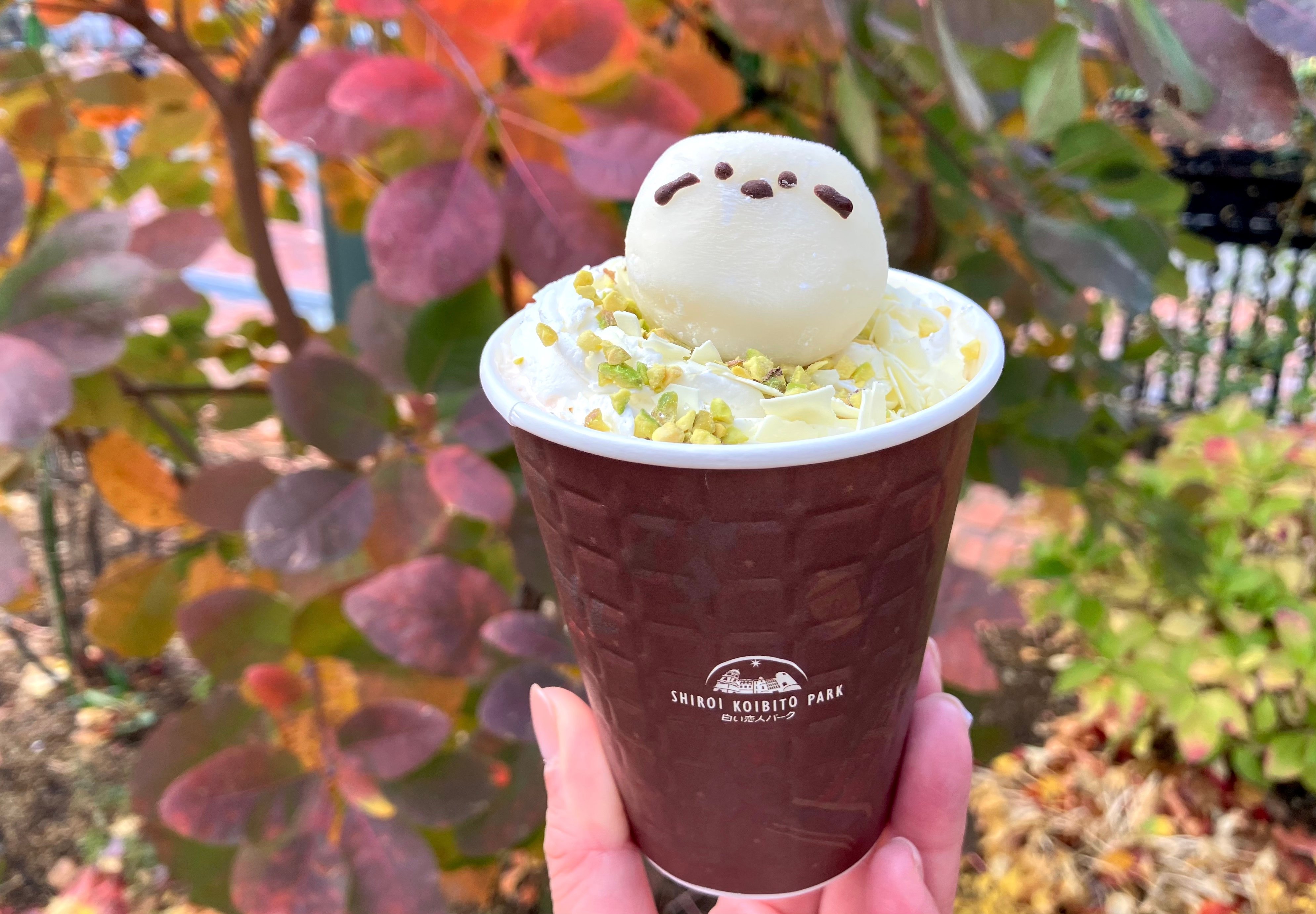 期間限定！白い恋人×雪見だいふくの魅惑のコラボ開催中 | 北海道・札幌