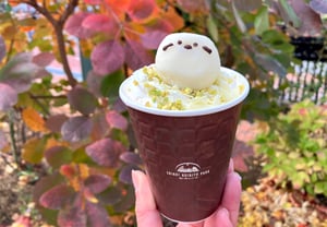 雪見シマエナガホットチョコレートドリンクの写真