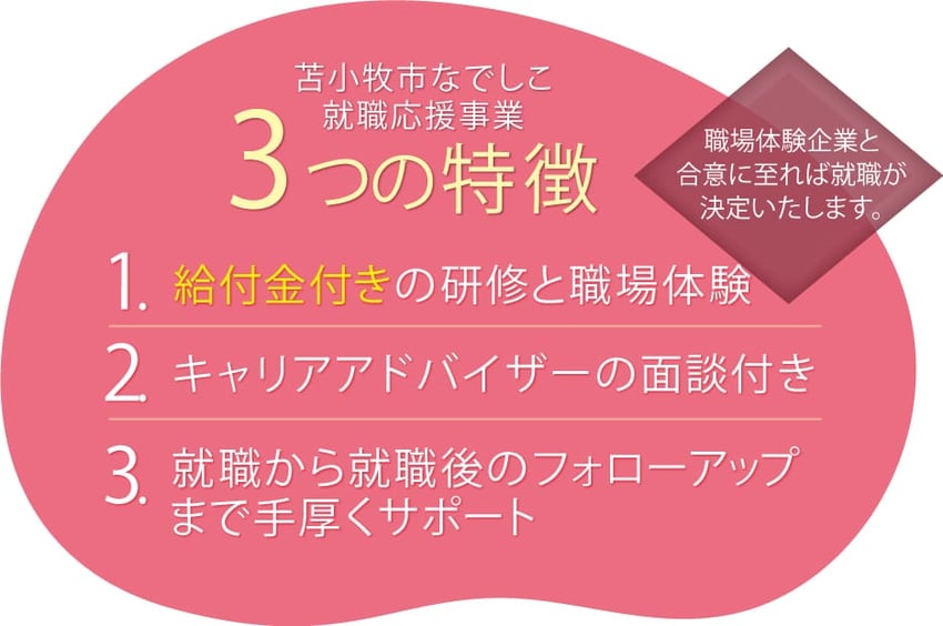 苫小牧なでしこ就職応援事業 ３つの特徴