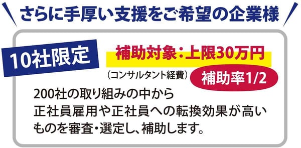 さらに手厚い支援をご希望の企業様10社限定補助対象：上限30万円　