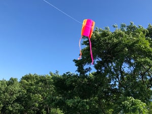 公園でカイト