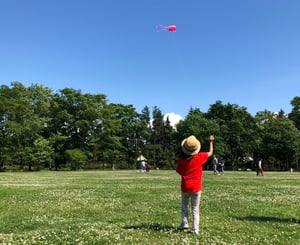 公園でカイト