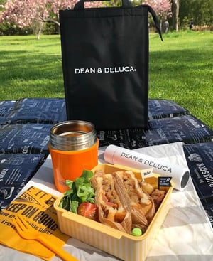 公園でお弁当