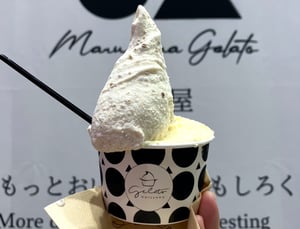 円山ジェラート茶屋のジェラートの写真