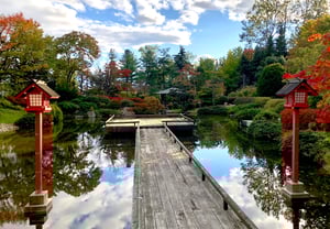 百合が原公園世界の庭園の写真
