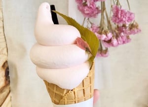 桜のソフトクリーム