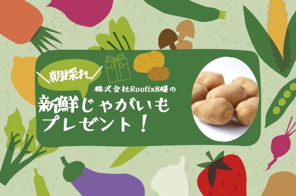 緑 イラストレーション 野菜 ラベル