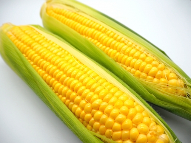 3678504_s
