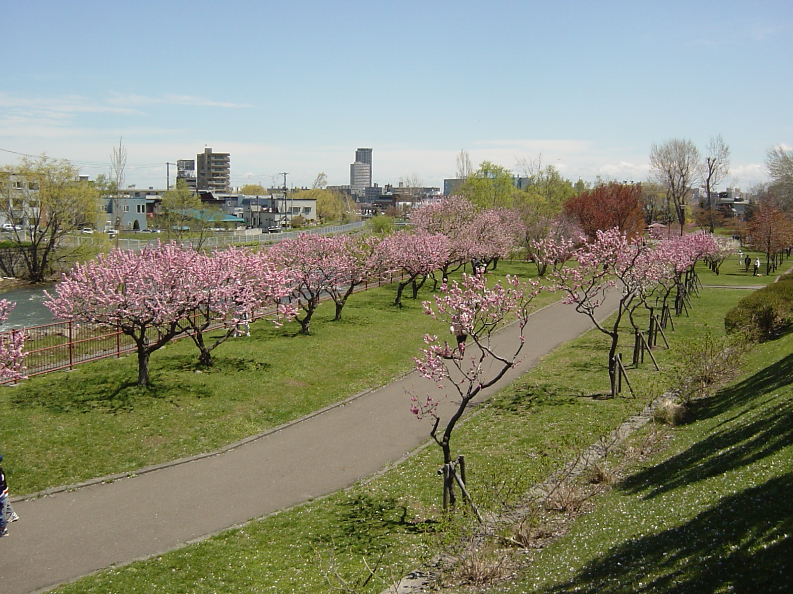 発寒河畔公園