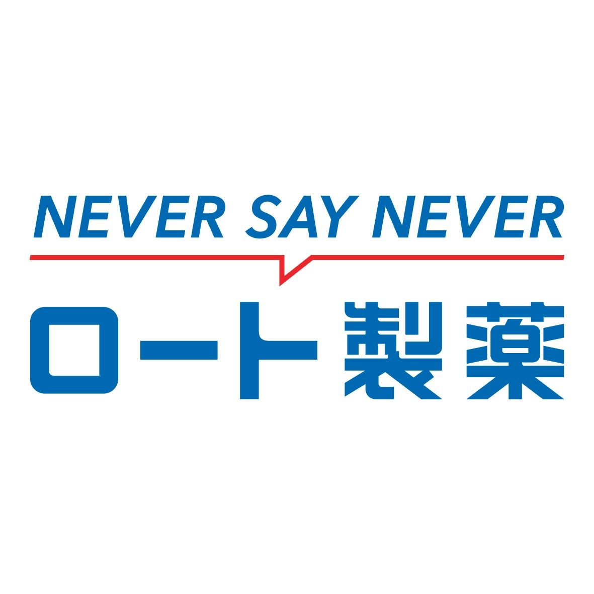 NSNロゴ社名カラー日本語