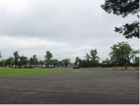 中央公園に隣接する遊歩道の写真