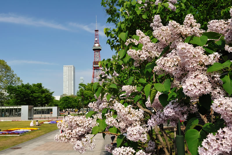 大通公園