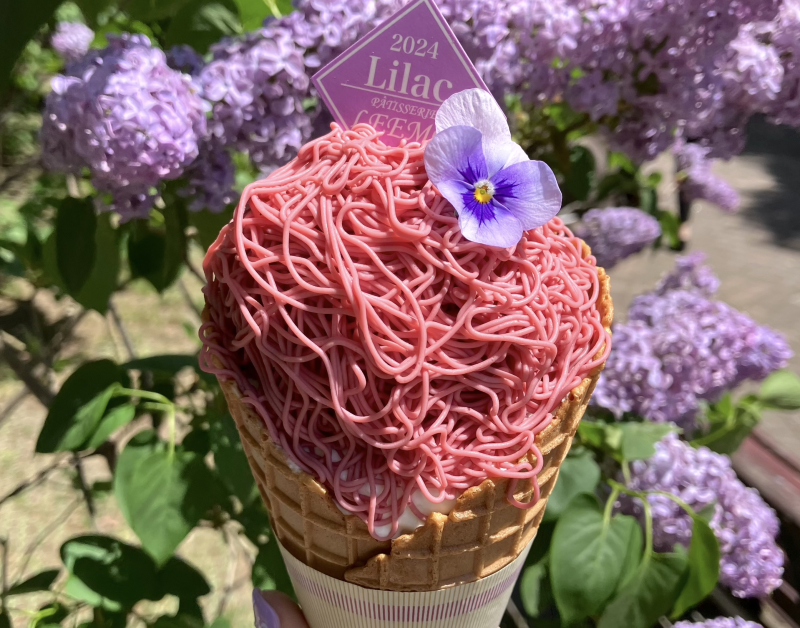 かわいいお花スイーツも登場！さっぽろライラックまつり | 北海道